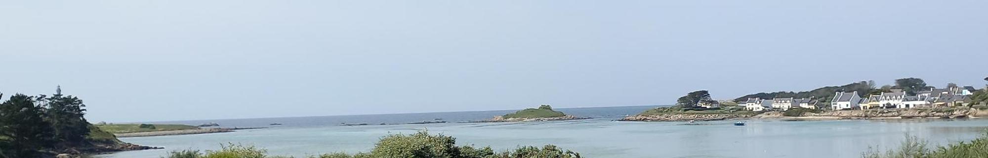 De L'holothurie * Plouguerneau